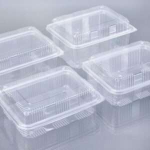 2250ML HIGH LID HINGED BOX