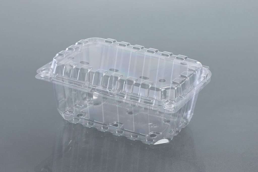 500 GMS PUNNET BOX
